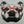 Limited Edition English Bulldog Art Poster with Orange Glasses - 13x19"